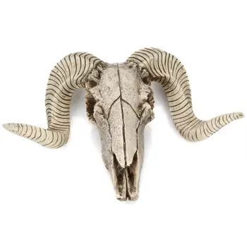 Ev Dekor Süsler Reçine İskelet Ram Koyun Kafası Kafatası Kafa Duvar Asılı 3D Hayvan Longhorn Heykel Figürleri El Sanatları Boynuzları