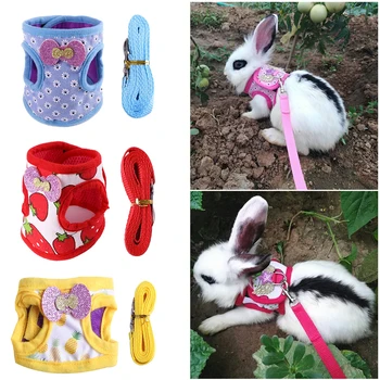 Tavşan Chinchilla Yelek Koşum Tasma Kobay Koşum Tasma Açık çekme halatı Tavşan Gelincik Küçük Evcil Hayvan Malzemeleri